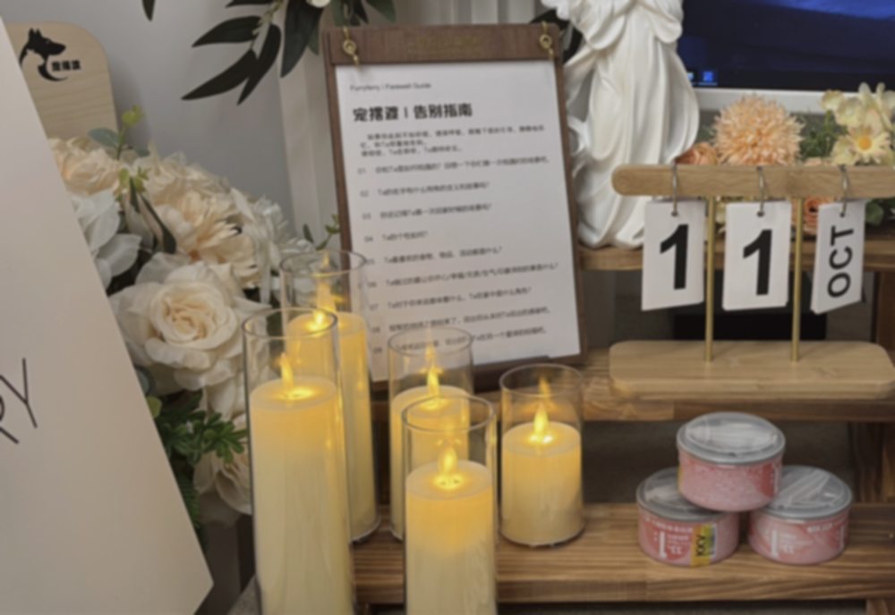 宠摆渡厦门告别仪式厅
